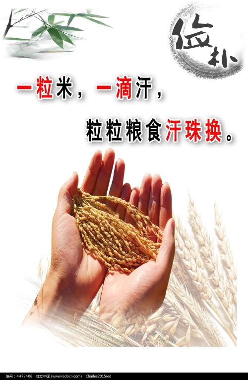 科隆大学diploma购买